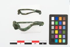 Foto von Bronzecertosafibel (NHMW-PRAE-003447)